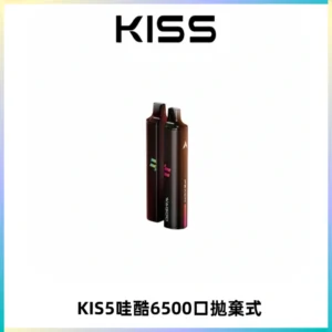 KIS5WAGOO哇酷6500口拋棄式 | 自由混搭雙口味 | 雙芯組合